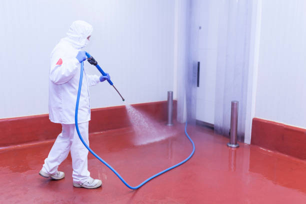 Best Sidewalk and Walkway Cleaning  in Running Springs, CA